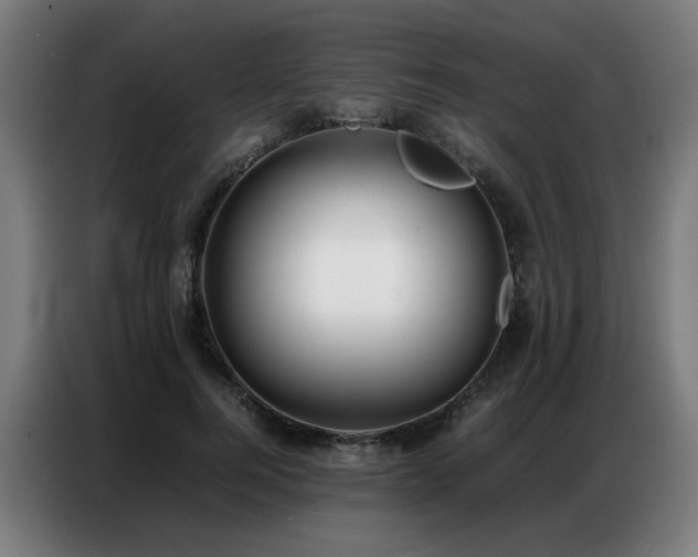 X0000087320744200704201110