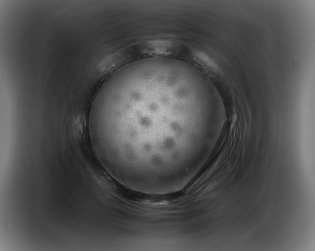 X0000087320747200704201110