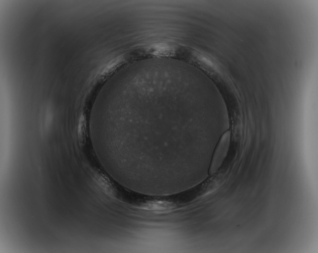X0000087320748200704201110