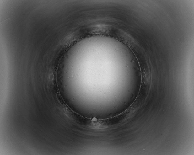 X0000087320753200704201110