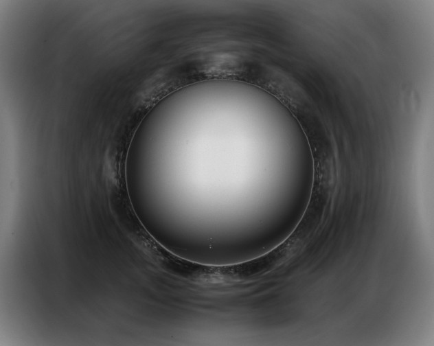 X0000087320755200704201110