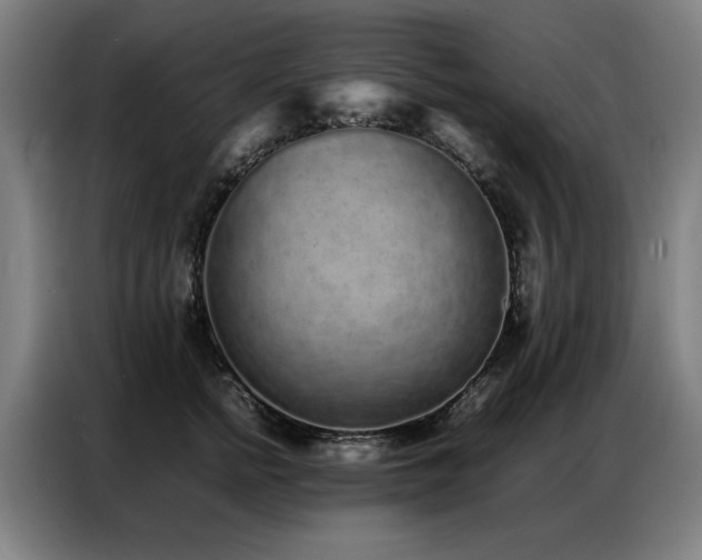 X0000087320758200704201110