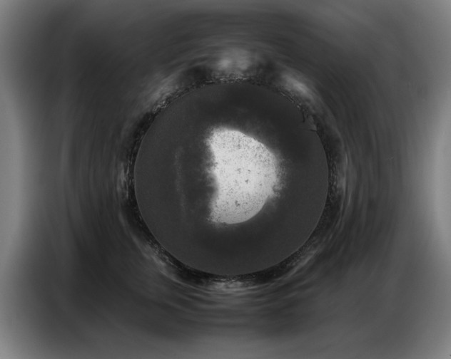 X0000087320759200704201110