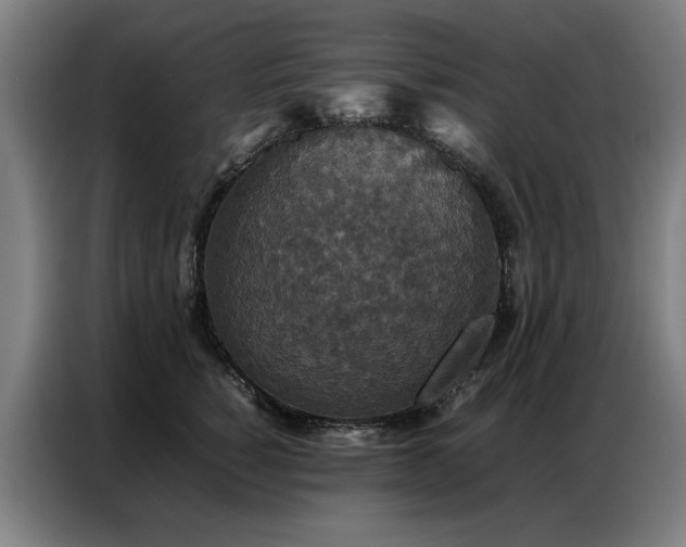 X0000087320760200704201110