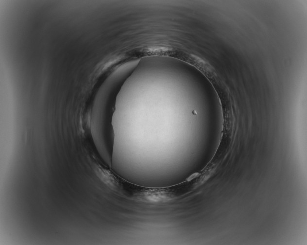X0000087320762200704201110
