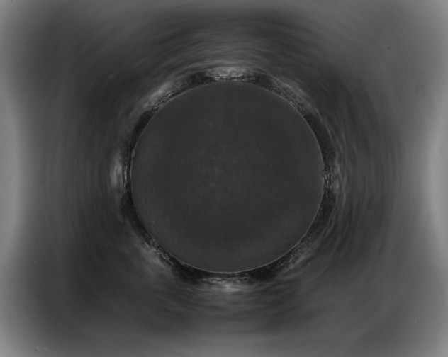 X0000087320763200704201110