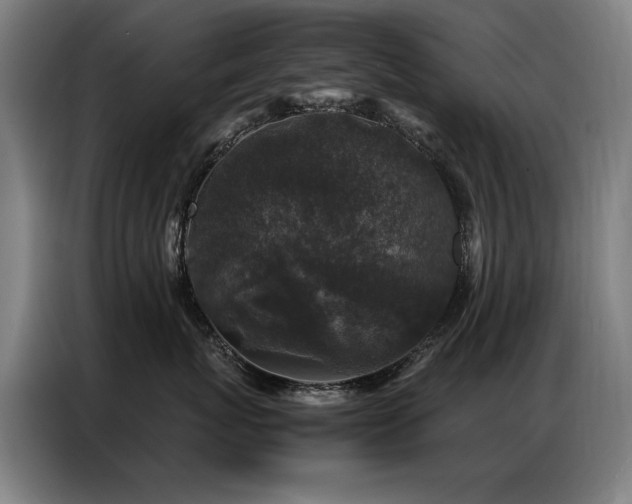 X0000087320767200704201110