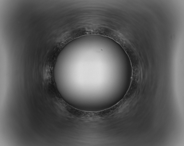 X0000087320770200704201110