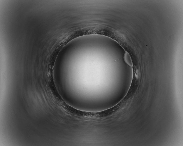 X0000087320771200704201110