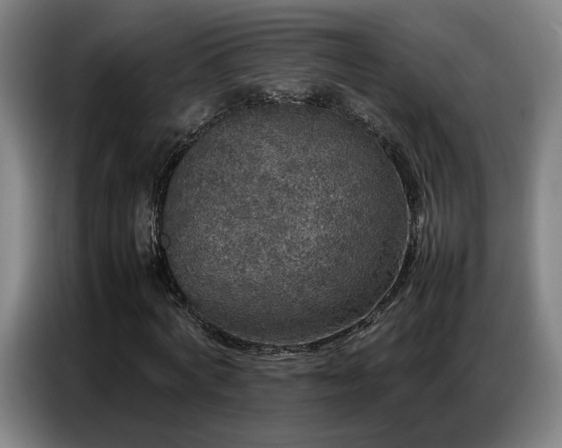X0000087320772200704201109