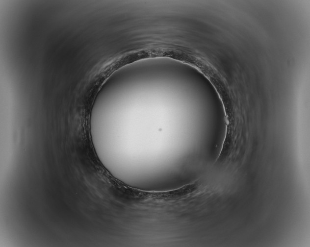X0000087320773200704201109