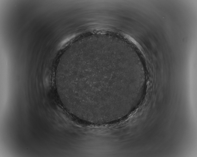 X0000087320775200704201109