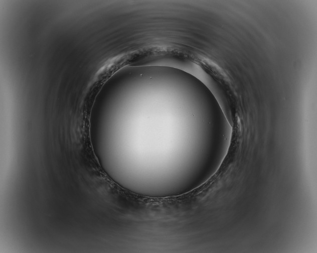X0000087320776200704201109