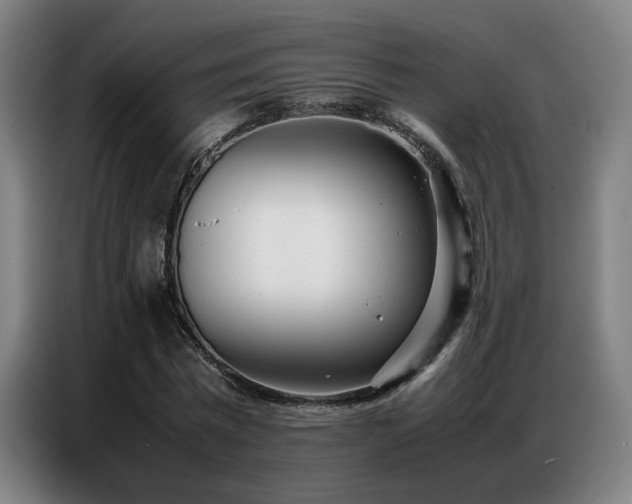 X0000087320777200704201109