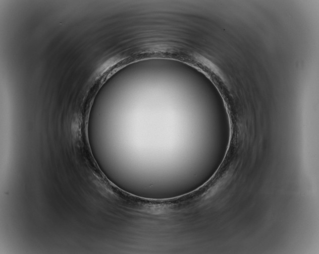 X0000087320778200704201109
