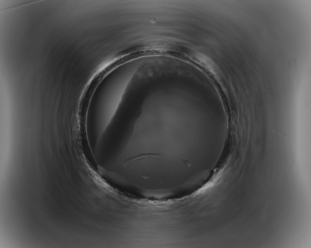 X0000087320779200704201109