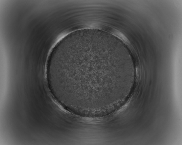 X0000087320780200704201109