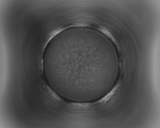 X0000087320781200704201109