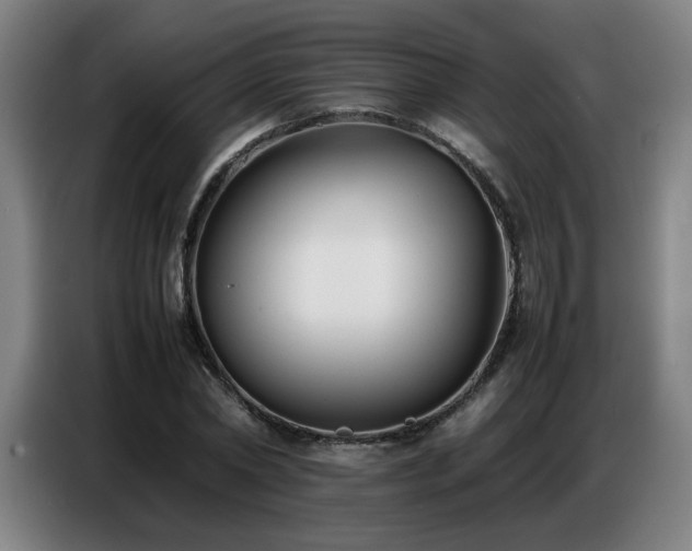 X0000087320782200704201109