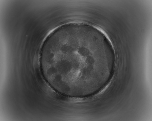 X0000087320783200704201109
