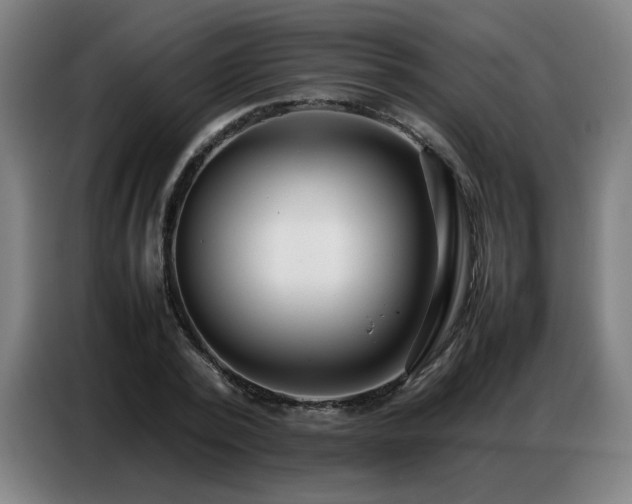 X0000087320784200704201109