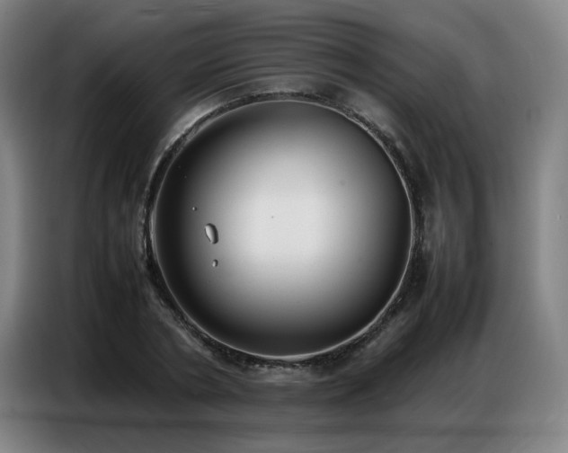 X0000087320786200704201109