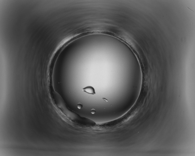 X0000087320787200704201109