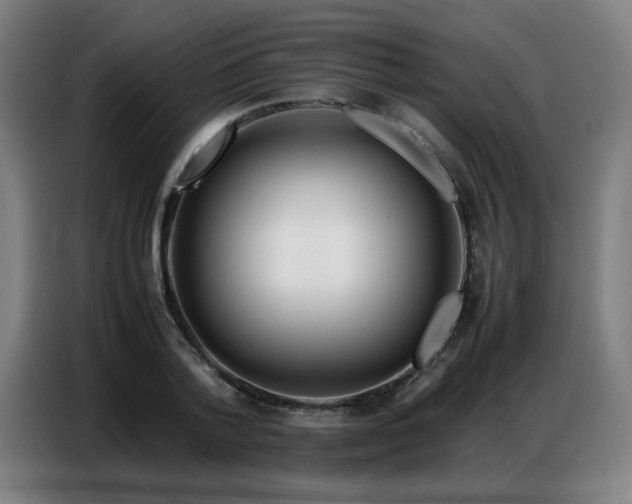 X0000087320788200704201109