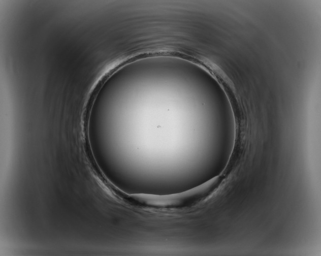 X0000087320789200704201109