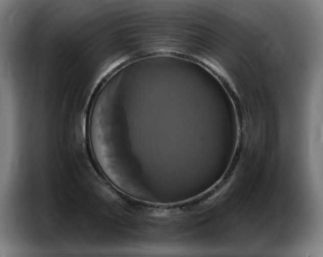 X0000087320790200704201109