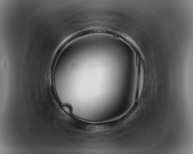 X0000087320791200704201109