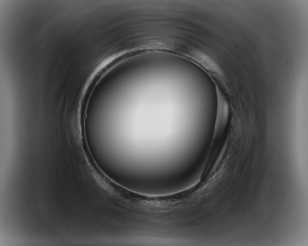 X0000087320792200704201109