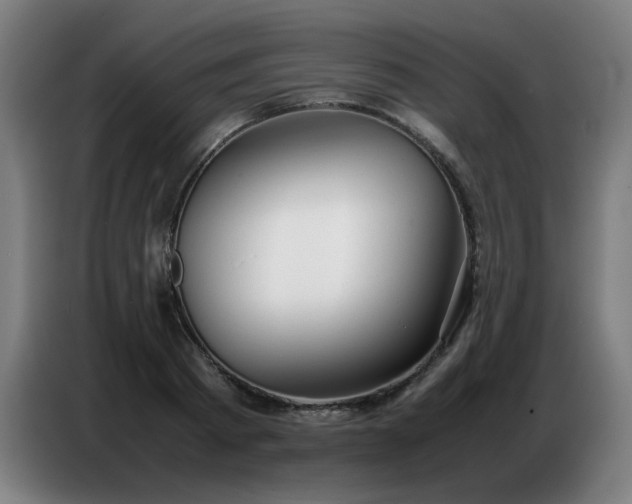 X0000087320793200704201109