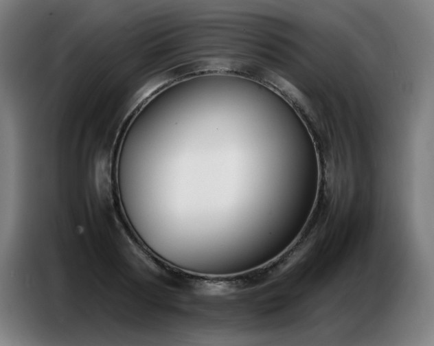 X0000087320794200704201109