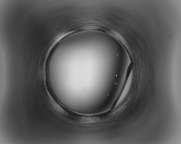 X0000087320795200704201109