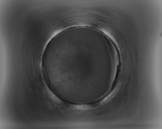 X0000087320797200704201109
