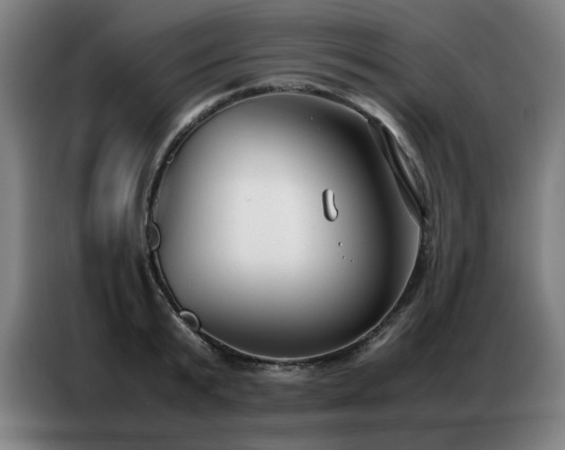X0000087320799200704201109