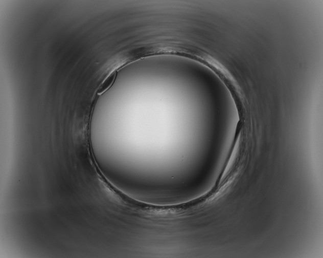 X0000087320801200704201109