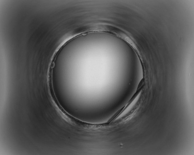 X0000087320803200704201109