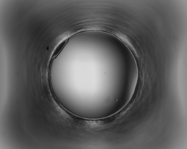 X0000087320805200704201109