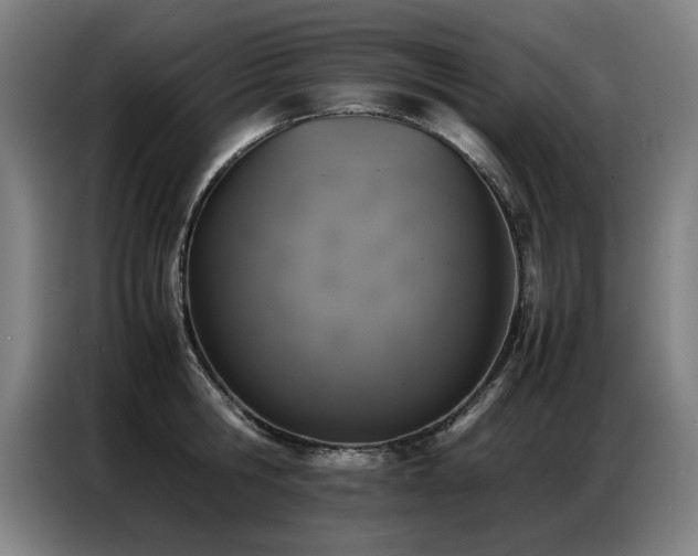 X0000087320806200704201109