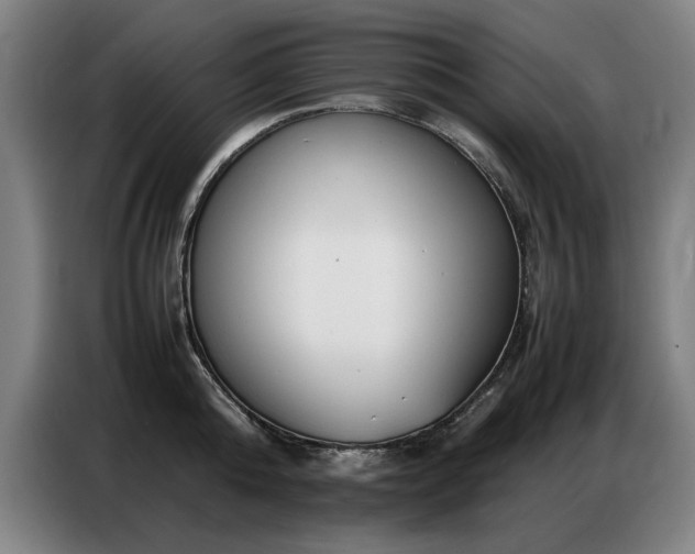 X0000087320808200704201109