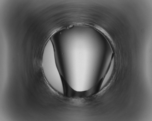 X0000087320809200704201109