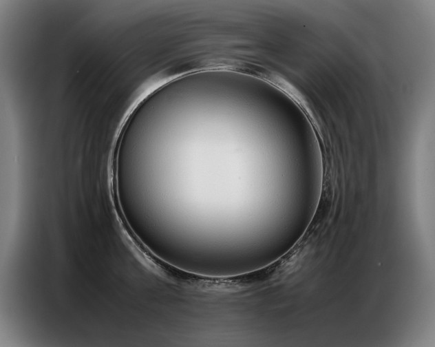X0000087320811200704201109
