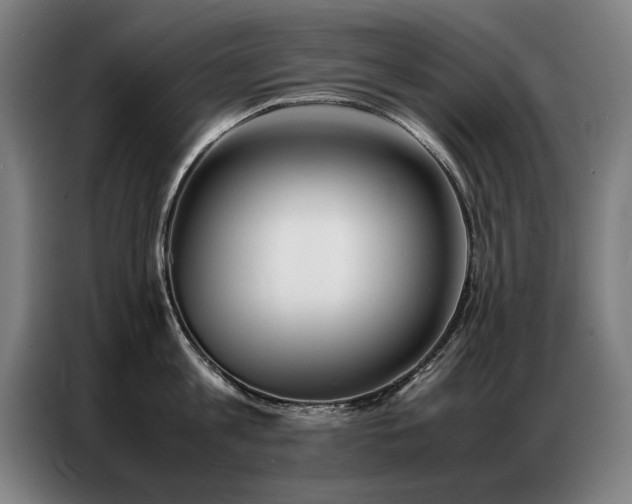 X0000087320813200704201109