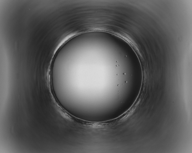 X0000087320814200704201109
