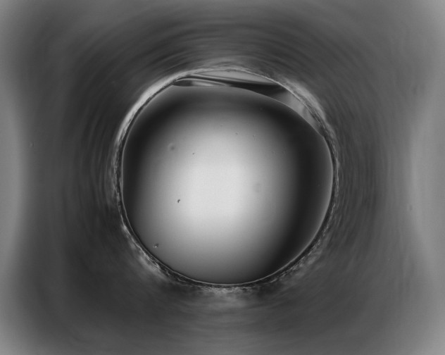 X0000087320816200704201109