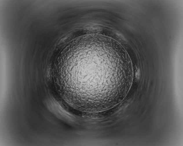X0000087320819200704201108