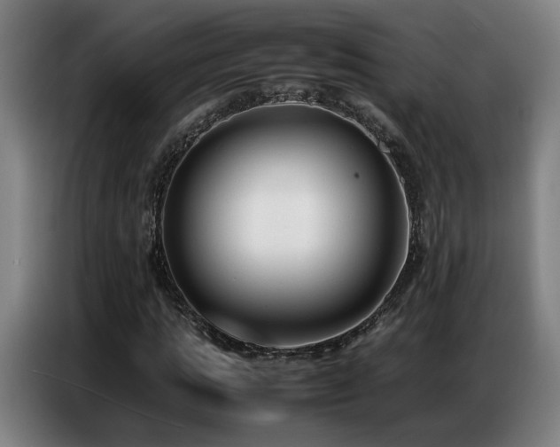 X0000087320821200704201108