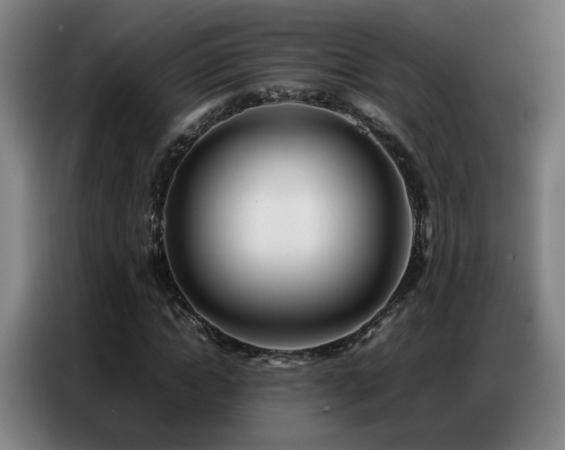 X0000087320822200704201109